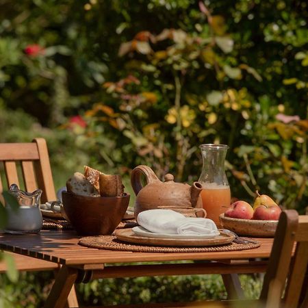Maison Gamboia, Chambres D'Hotes Au Calme Avec Jardin Hasparren Bagian luar foto