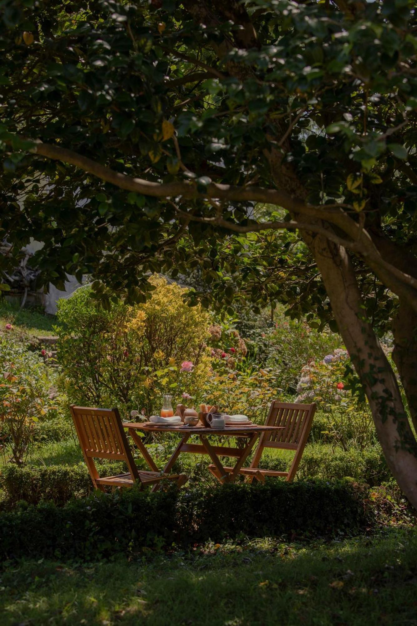 Maison Gamboia, Chambres D'Hotes Au Calme Avec Jardin Hasparren Bagian luar foto